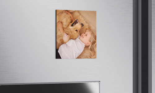 Photo magnet on fridge showing a baby and a dog together.